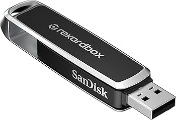 Amazon.com: Alpha Theta Sandisk DJ Flash Drive - 1TB USB : Electronics