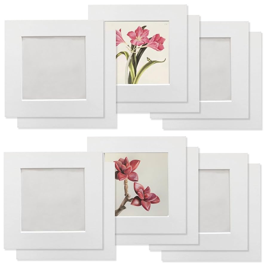 ふなっしー写真アートフレーム 【公式通販】