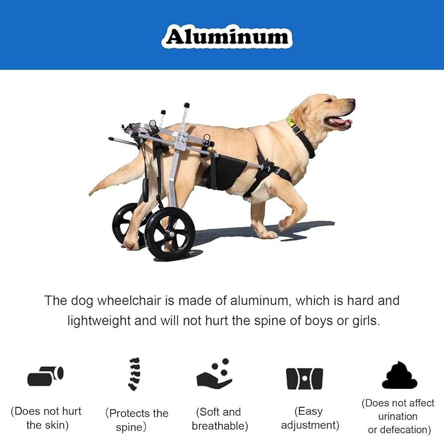 Amazon.co.jp: 犬用車椅子 M XL XXXL ペット用車椅子/犬用車椅子