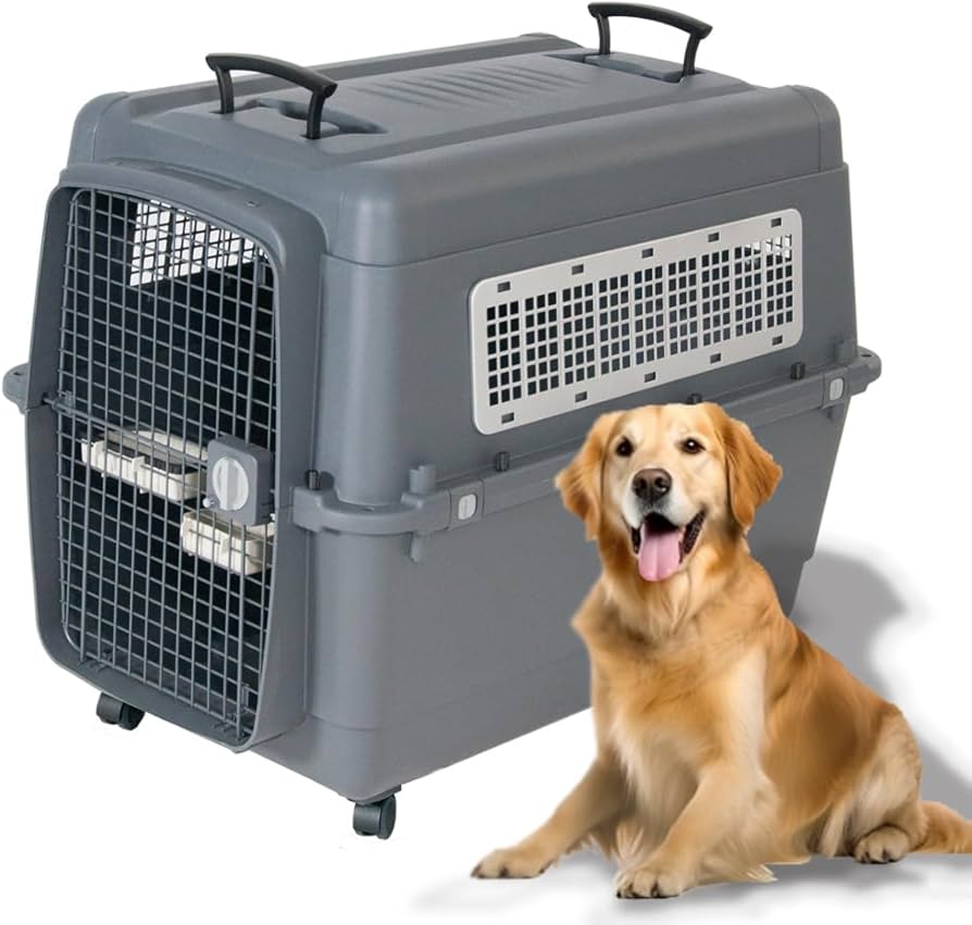 RR826さま専用 大型犬用プラスチッククレート XXXL RR826さま専用 大型