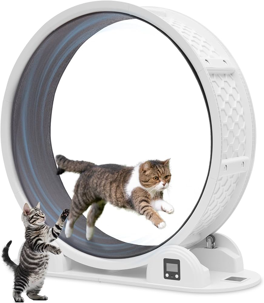 Amazon.co.jp: HOVONO 万歩計付きキャットホイール 非常にシンプルで