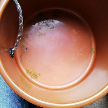 Amazon.co.jp: 野点茶釜セット : ホーム＆キッチン