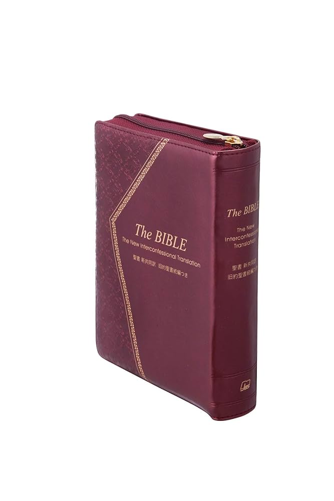 聖書 聖書協会共同訳 SI58 総革装 中型 外函付き 聖書 聖書協会共同訳