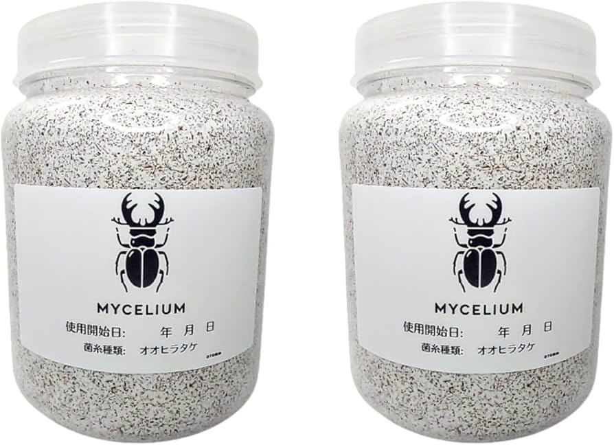 特選！ヒマラヤひらたけ菌糸カップ120ml【40個セット】初令、2令幼虫