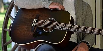 Amazon | Art&Lutherie アート&ルシアー アコースティックギター