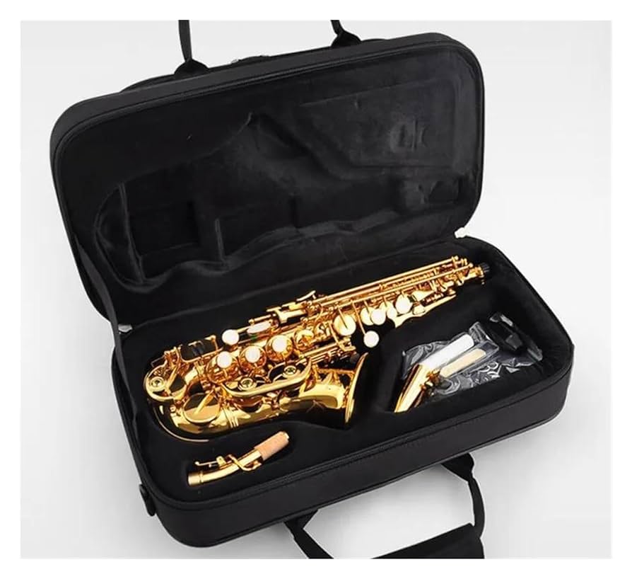 Maxtone ソプラノサックスケース付き