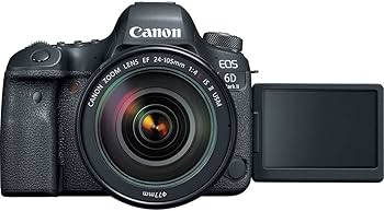 Amazon.com : Canon EOS 6D Mark II DSLR Camera with 24-105mm f/4L