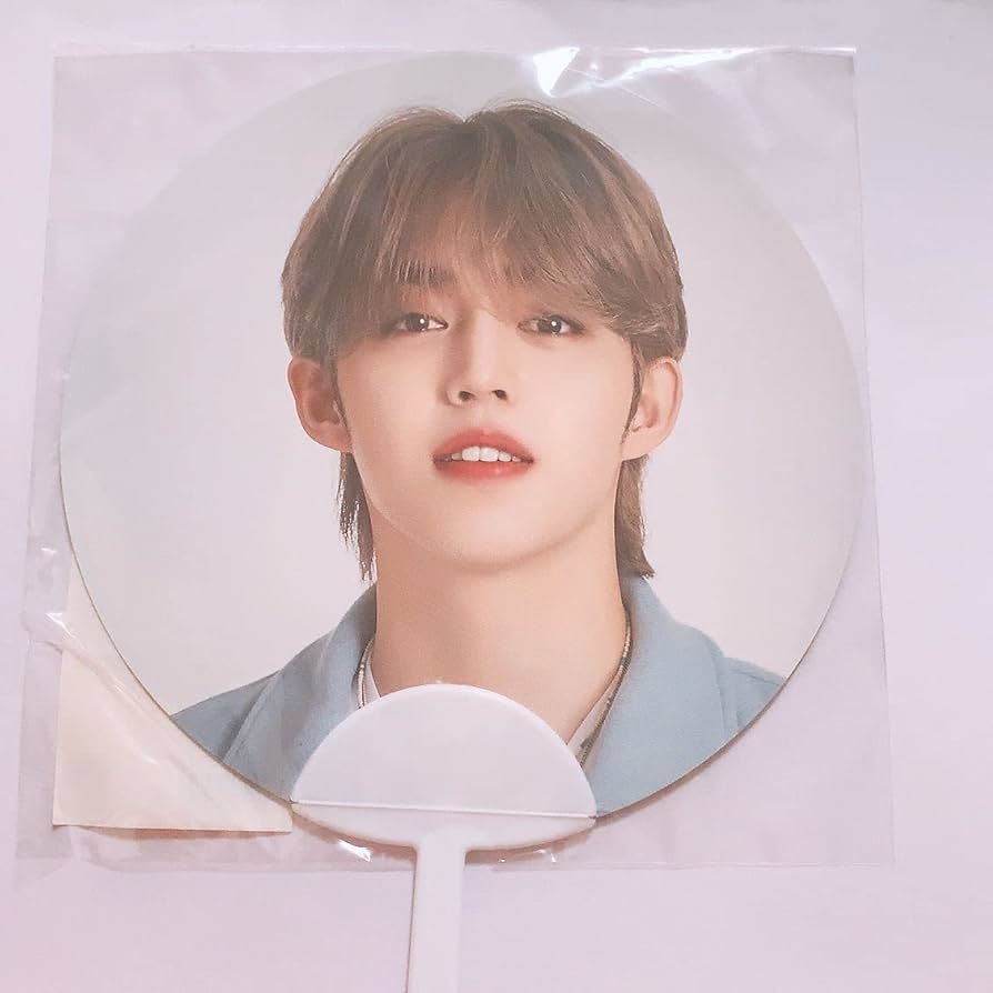 SEVENTEEN セブチ エスクプス うちわ まとめ売りの通販 by ˆ. ̫ .ˆ