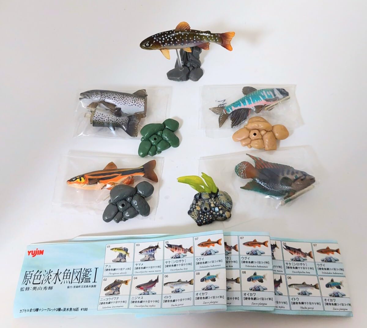 未使用】YUJIN 原色 淡水魚図鑑Ⅰ 改訂版 17種 未使用】YUJIN 原色
