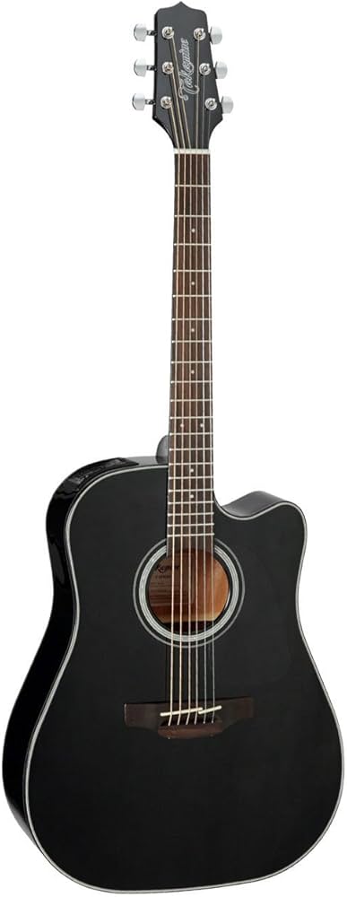 Takamine G Series アコースティックギター早い者勝ち✨ 早い者勝ち