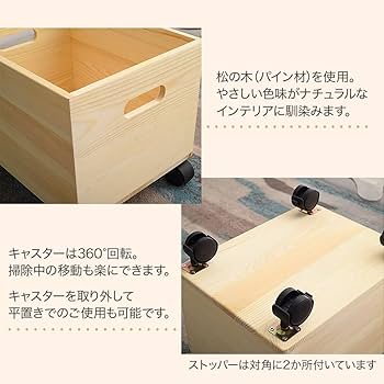 61OFn8aPckL._AC_UF350,