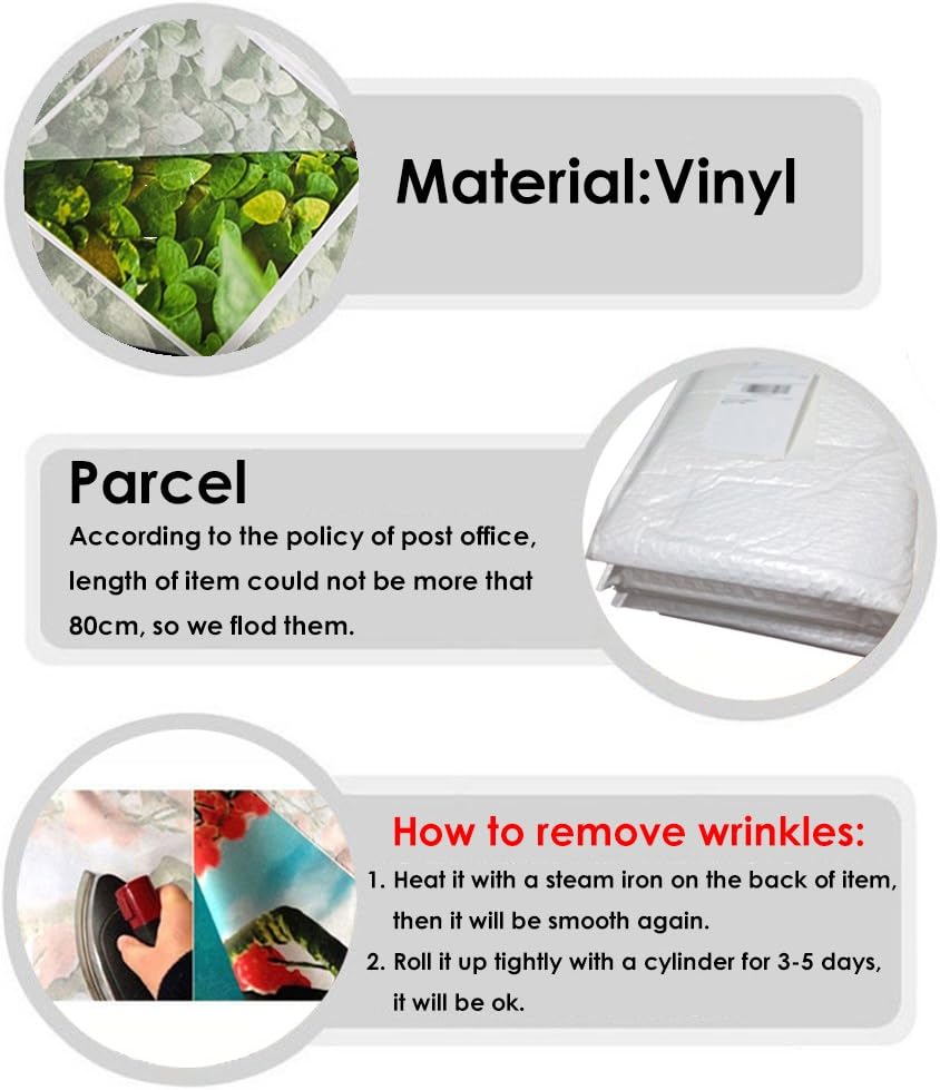 獅子舞の獅子頭/ 耐熱ガラスケース入り/ 耐熱ガラスケースだけでも高額