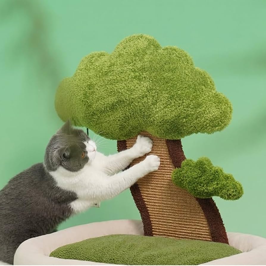 Amazon.co.jp: PET-ZEZE 猫 ベッド 猫ハウス 猫ベッド キャットタワー