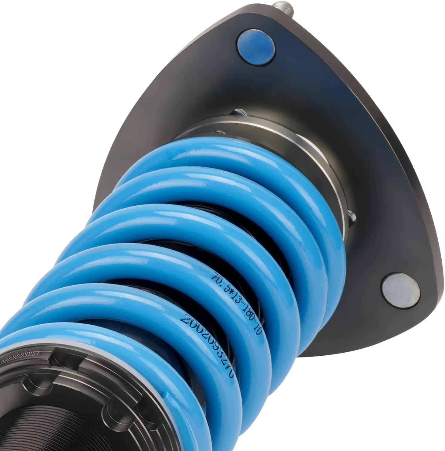 糠川孝之 九谷焼／巳 | ライトアップオンラインストア 限定品【九谷焼