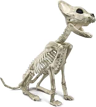 61OQx+9QaFL._AC_UF350,