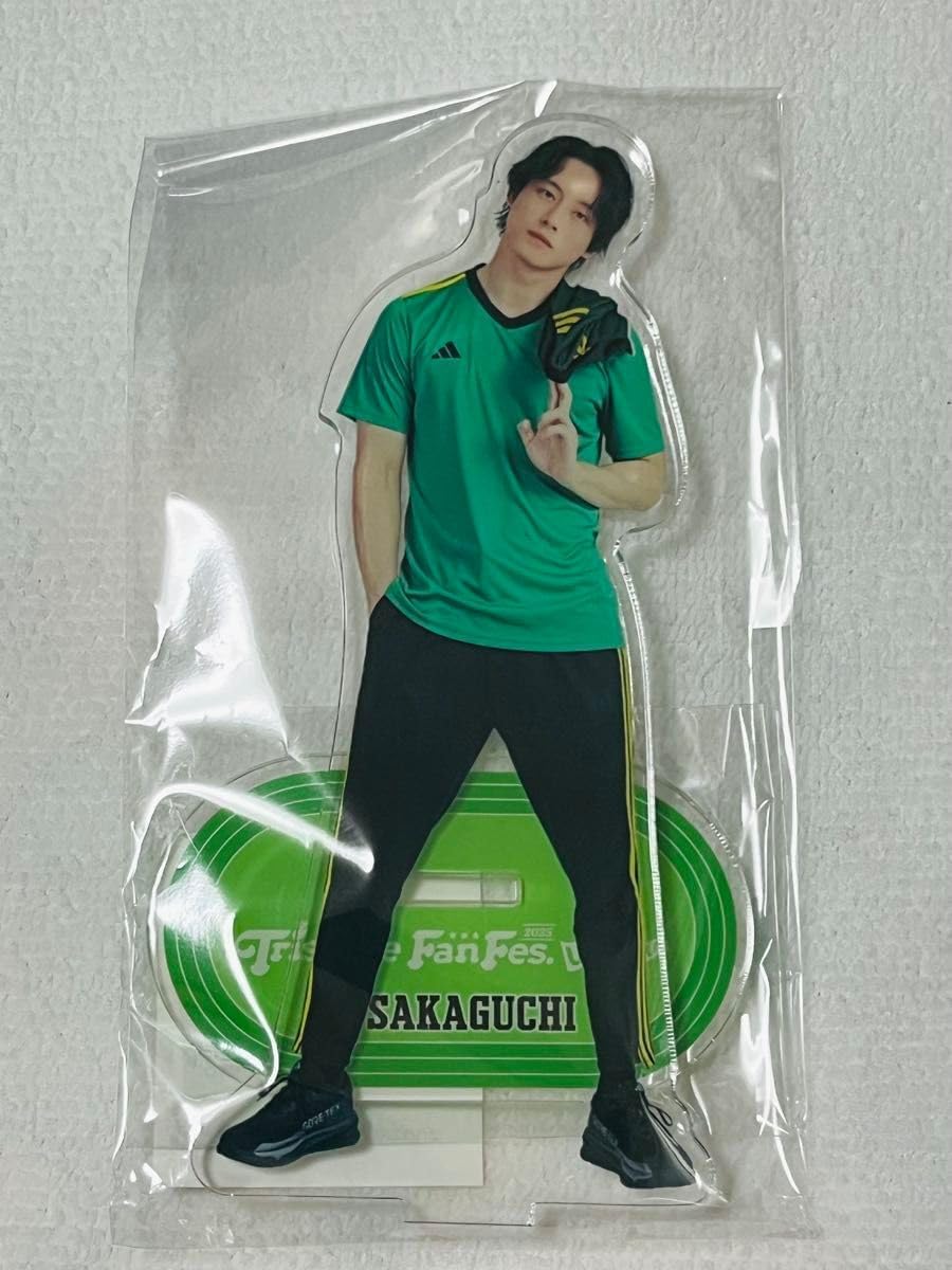 中国古美術・純手描き四尺孔雀と花掛軸・国画・沈銓印款•珍品画・肉筆