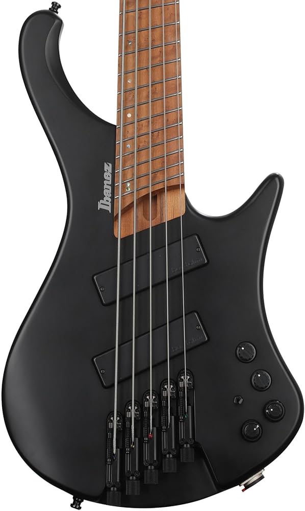 Amazon.com: Ibanez Bass Workshop EHB1005MS Bass Guitar - Black