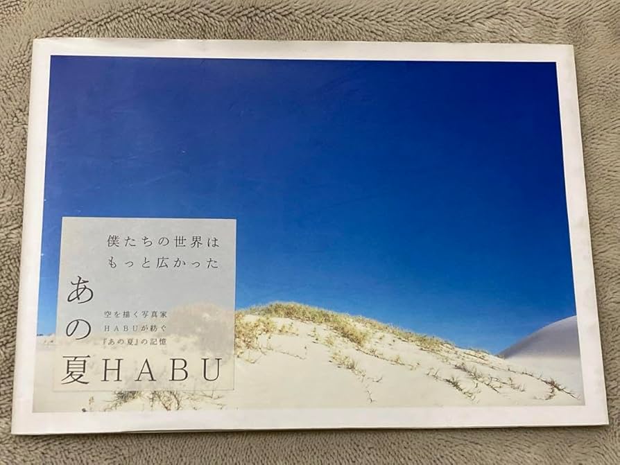 Amazon.co.jp: カバー 初版 空を描く写真家 HABU 写真集 あの夏 羽生