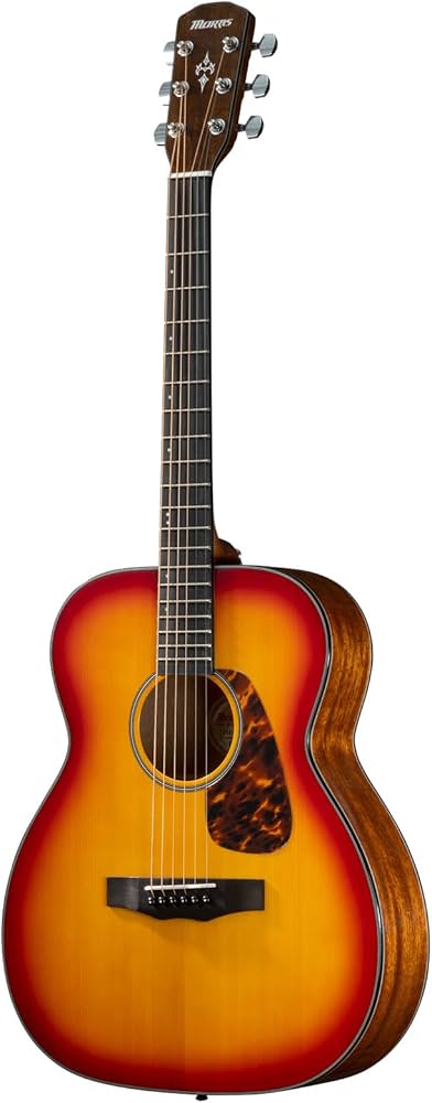 Amazon.co.jp: Morris F-025 CS スプルース単板トップ モーリス