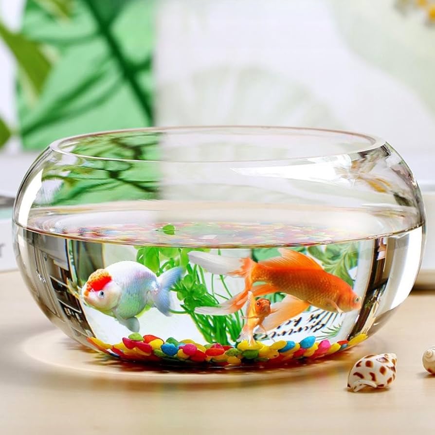 丸型の陶器の水槽 金魚・メダカ・インテリアに 和&アジアンテイスト