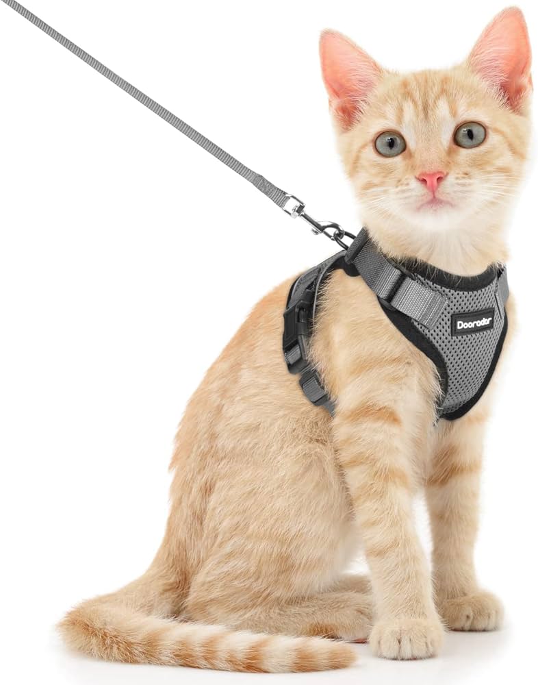 Amazon | Dooradar 猫 ハーネス リードセット 7-11kg 小型犬 ハーネス