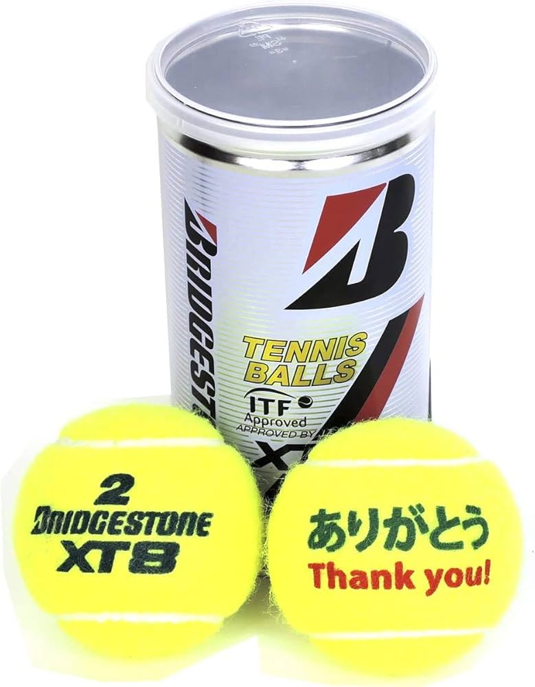 DUNLOP FORT BRIDGESTONE XT8