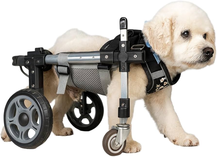 Amazon.co.jp: 犬用車椅子 犬用歩行器 ペット車椅子 4輪歩行補助