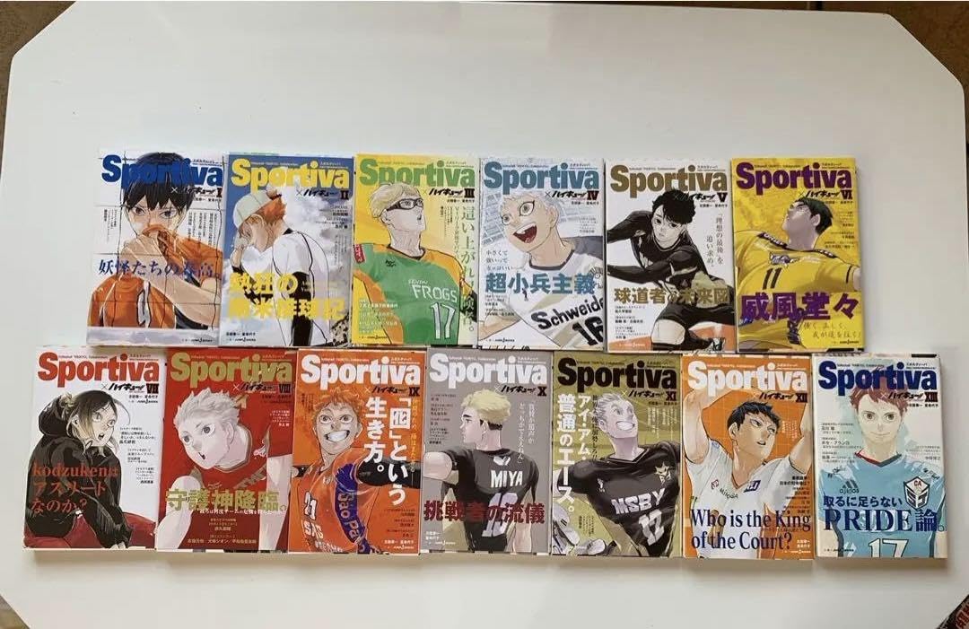 ハイキュー 全巻 ショーセツバン 全巻 関連本計15冊付き ハイキュー