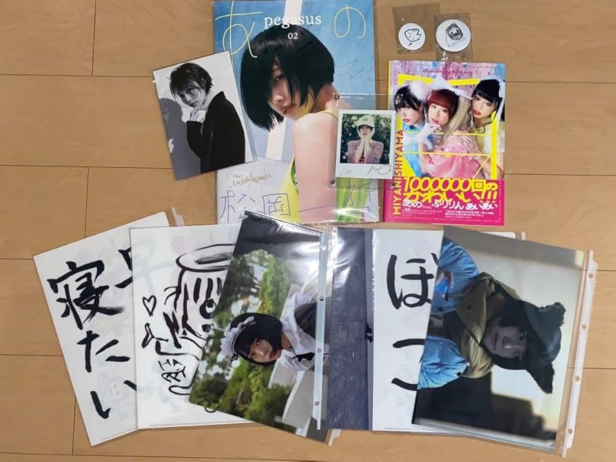 Amazon.co.jp: あのちゃん 直筆サイン入り写真集チェキセット : おもちゃ