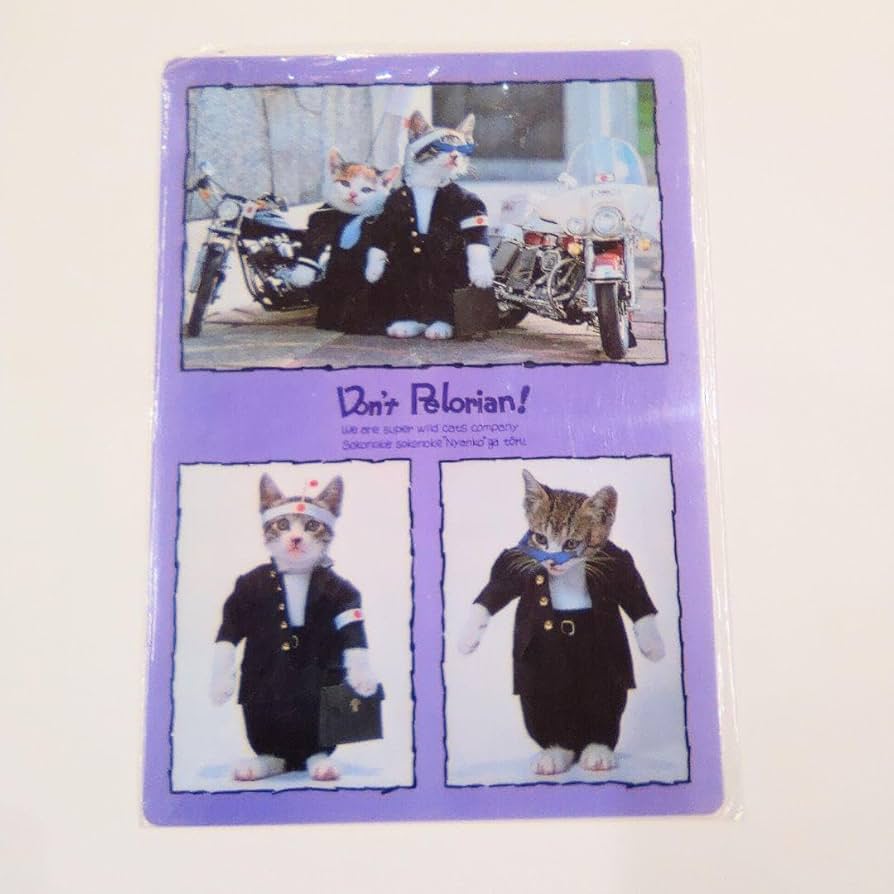 Amazon.co.jp: なめ猫 レトロ なめんなよ猫 下敷き 紫 ！ : おもちゃ