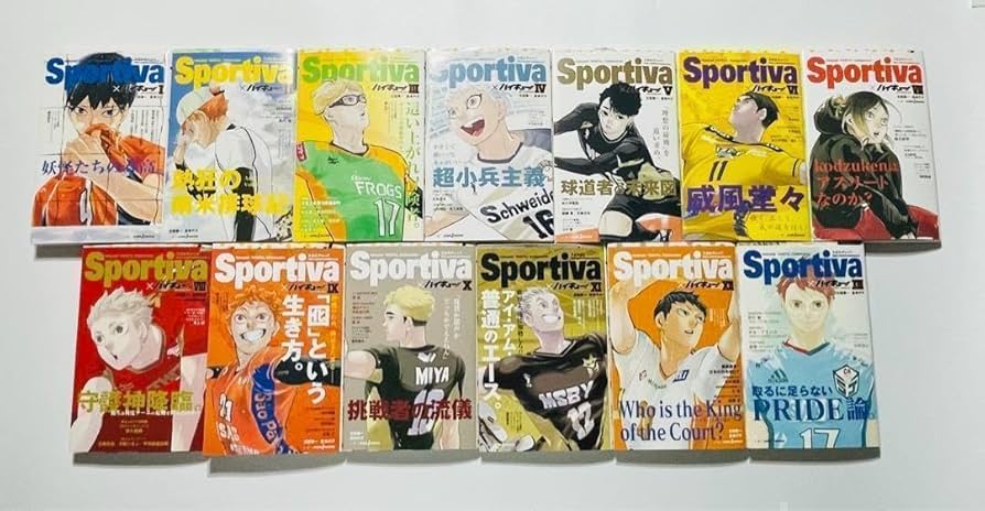 ハイキュー漫画全巻 0236 ハイキュー!!全巻と小説版全巻 0236