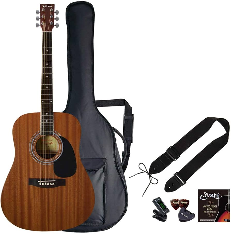 セピアクルー、新品WG-10ウエスタンギター、人気の5色カラー、9点