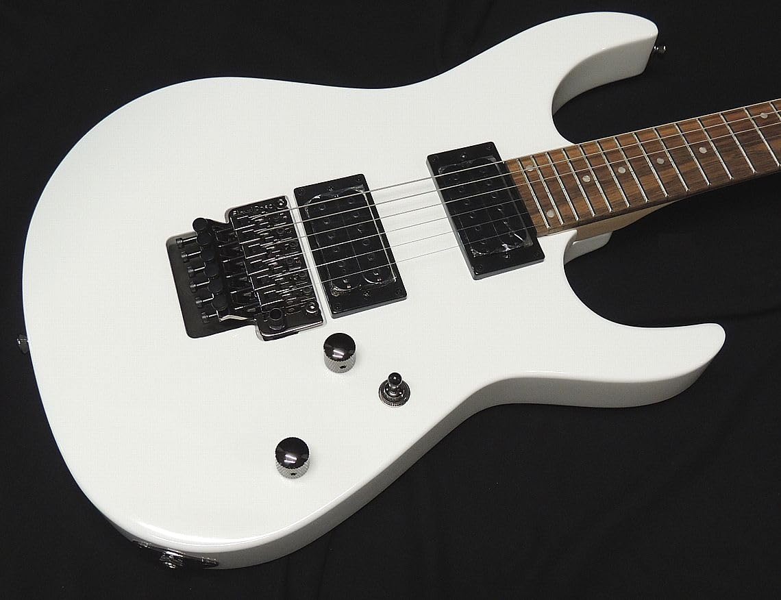 FERNANDES Z0-3'24 AWT（アンティークホワイト） FERNANDES Z0-3'24