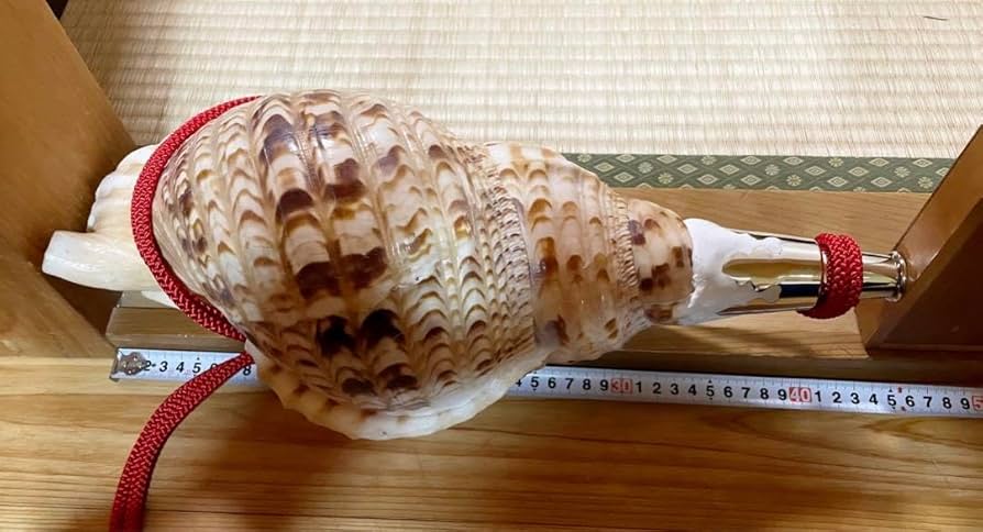 大型38.5㎝修験道法螺貝 山伏 密教 魔除け 熊よけ❣️ほら貝 ホラガイ