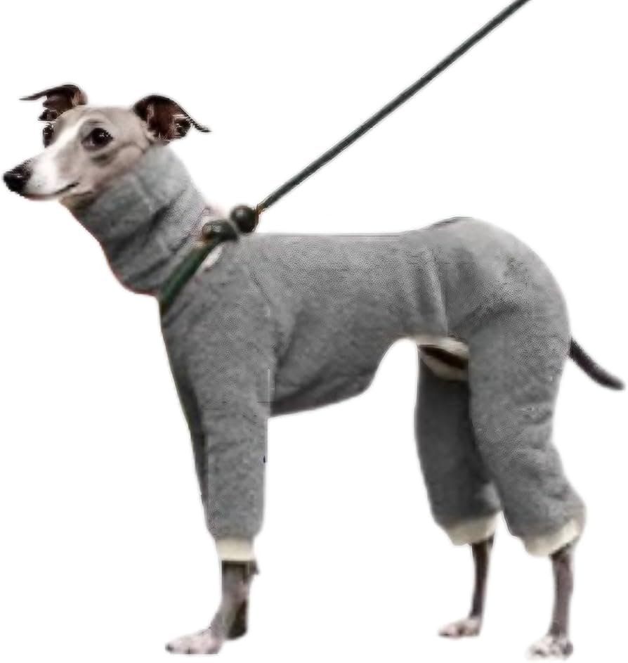 Amazon | manatom イタグレ 服 おしゃれ イタリアングレーハウンド服