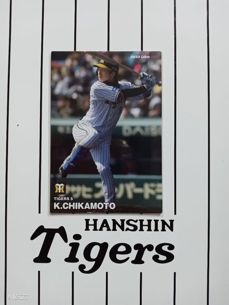 カルビープロ野球カード1979年阪神タイガース竹之内雅史