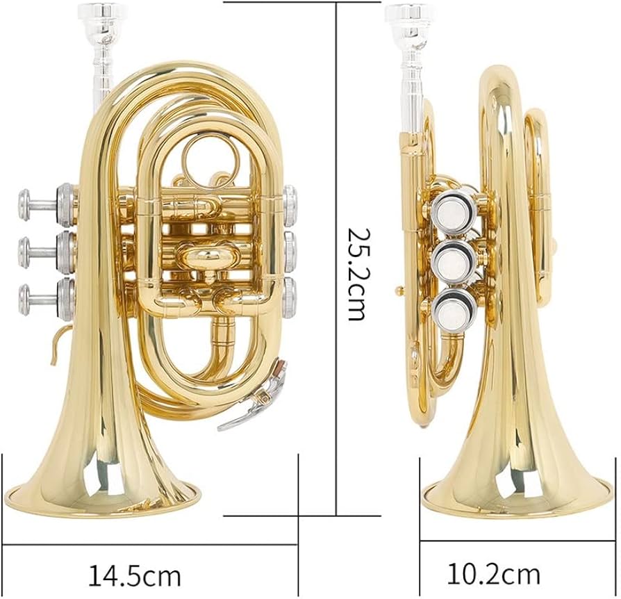 B-フラットラッカーゴールドポケットトランペット B-フラット 手のひら