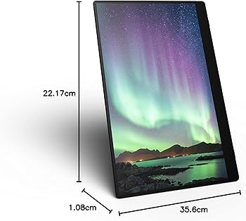 Amazon | リコー RICOH Light Monitor 150BW (無線) 有機ELポータブル