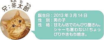 Amazon.co.jp: 学研ステイフル 茶太郎ときなこ 2023年 カレンダー