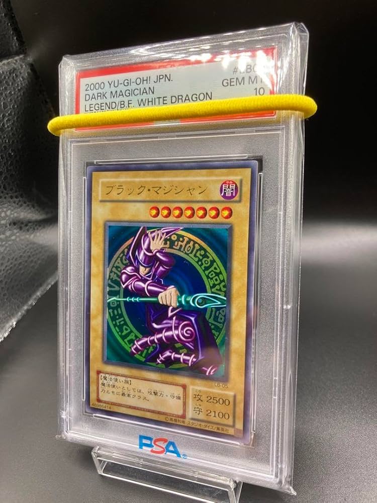 連番 psa10 ブラックマジシャン 青眼の白龍 アーコレ 絵違い 25th