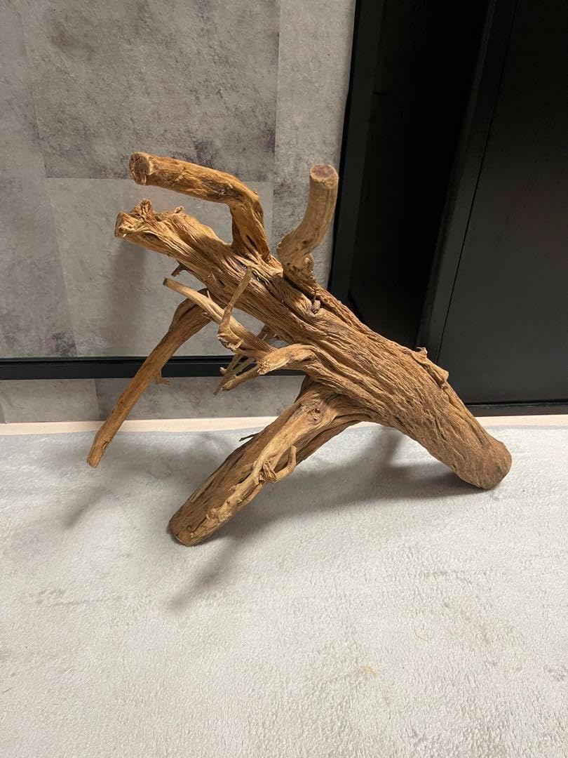 流木 レイアウト アク抜き済み AP10天然流木【大型根】15個組