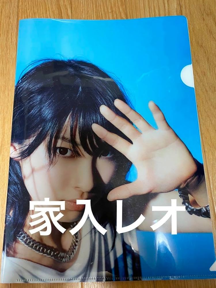 家入レオ ラジペディア クリアファイル 家入レオ ラジペディア クリア