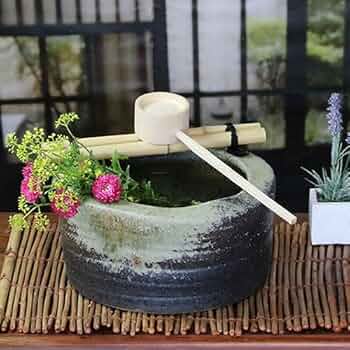 61Txj6OgFSL._AC_UF350,