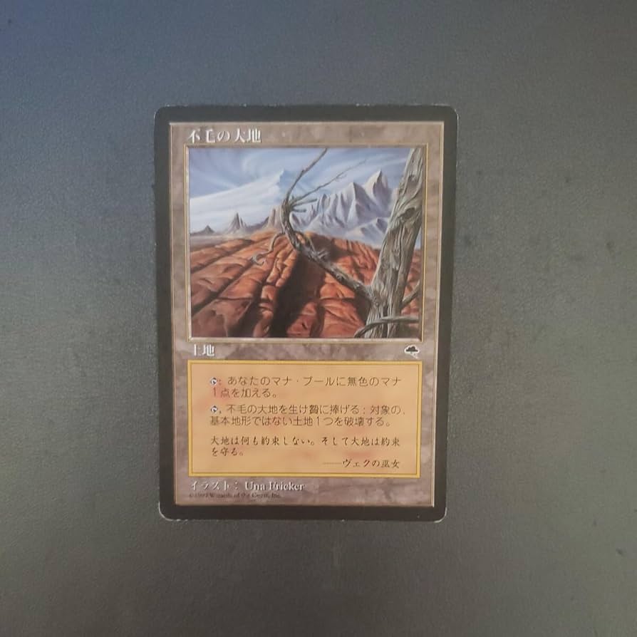 MTG 不毛の大地 Wasteland [TMP] 英語版4枚セット 不毛の大地 英語 4枚