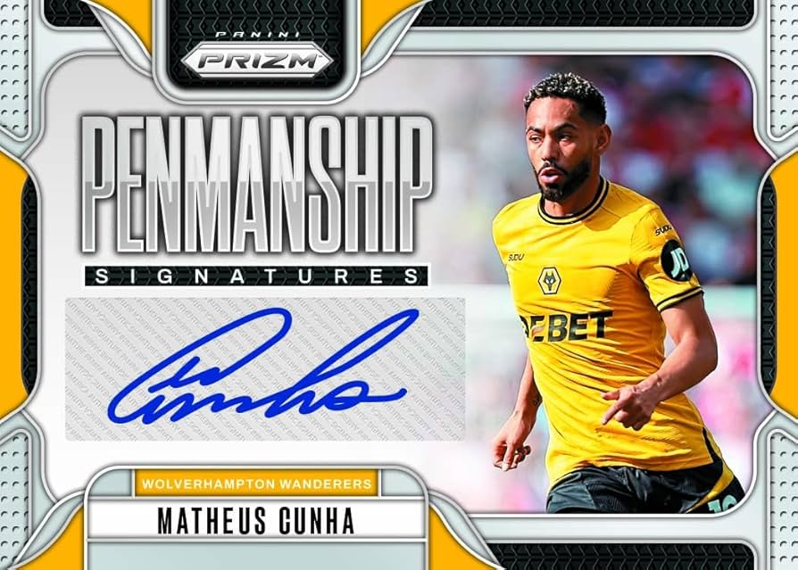 PANINI NOBILITY SOCCERオーウェン 直書サイン PANINI NOBILITY SOCCER