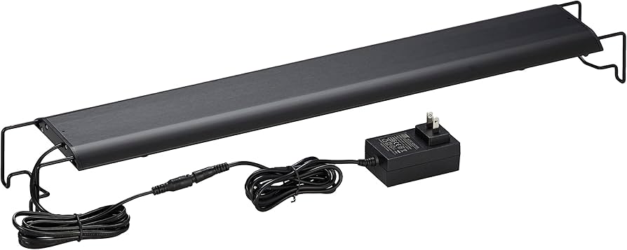 Amazon | ボルクスジャパン Wing2 60 Fresh/フレッシュ | ボルクス