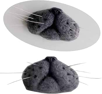 61V5Zy8A3+L._AC_UF350,