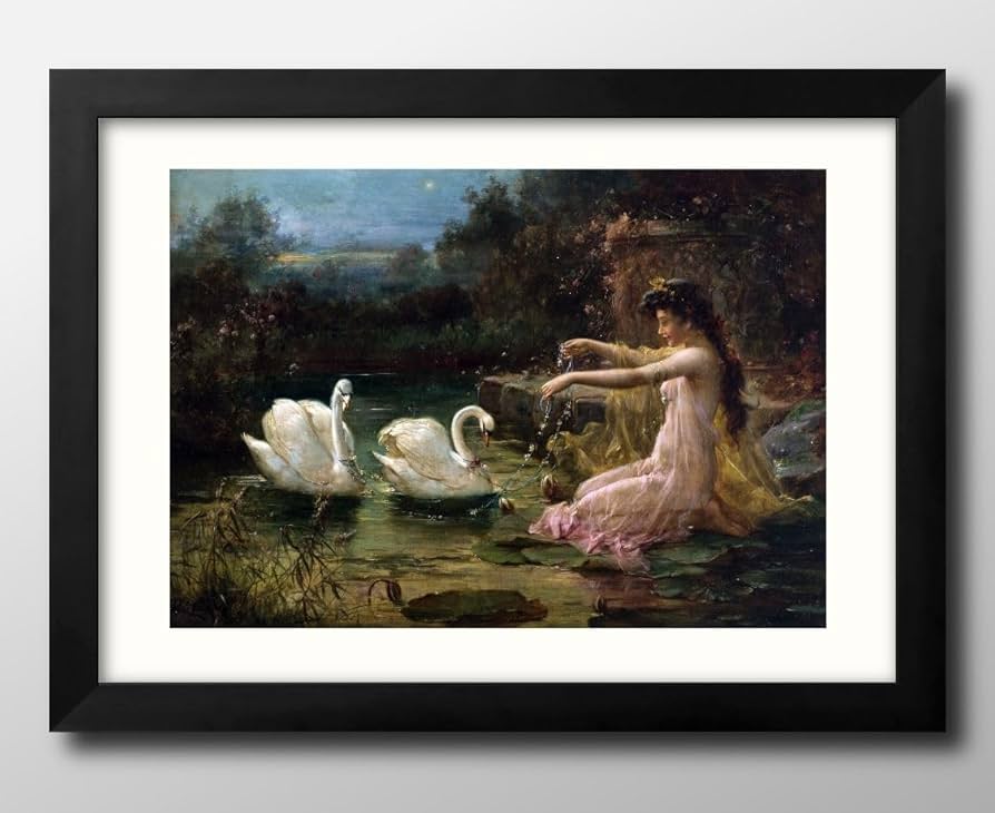 モノクロ写真作品「白鳥」A3サイズ アート インテリア モノクロ写真