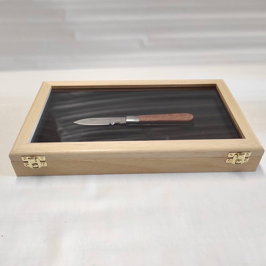 Amazon | 木製とガラスのディスプレイケース 化石シェルナイフまたは