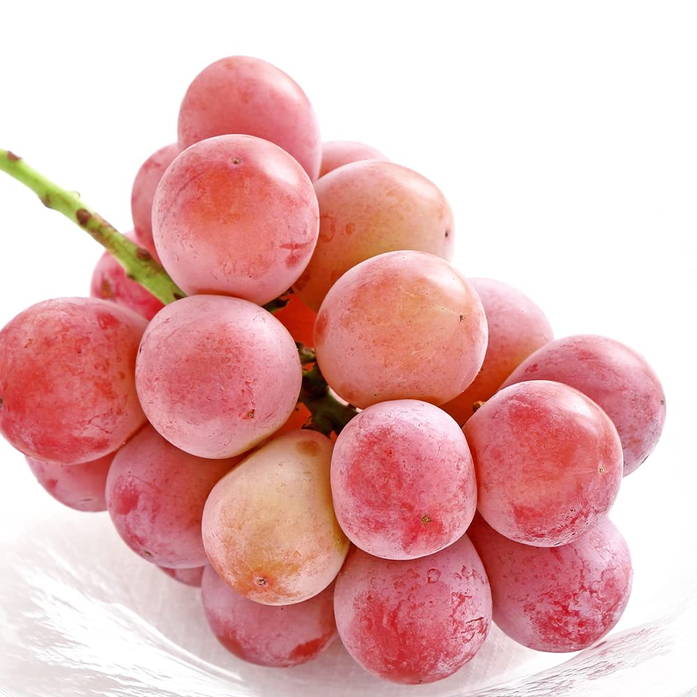 石のピンクの葡萄(大小2個)